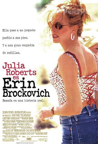 Erin Brockovich, Una Mujer Audaz